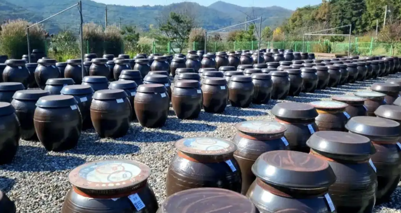 韩媒：韩国传统发酵酱产业遭遇排放危机
